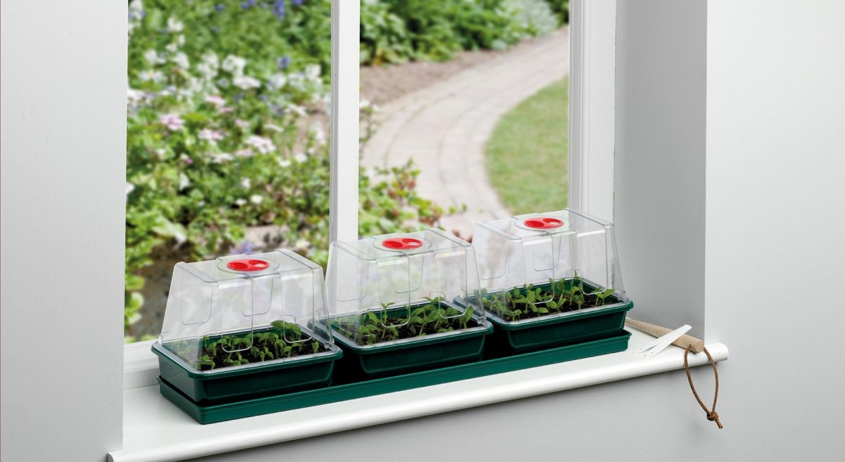  Garland Three Top Windowsill Propagator G171 The Green Thumb Club