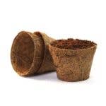  CoirProducts 8 cm Coir Pot | 100% Natural Plant Pot | CP08 The Green Thumb Club