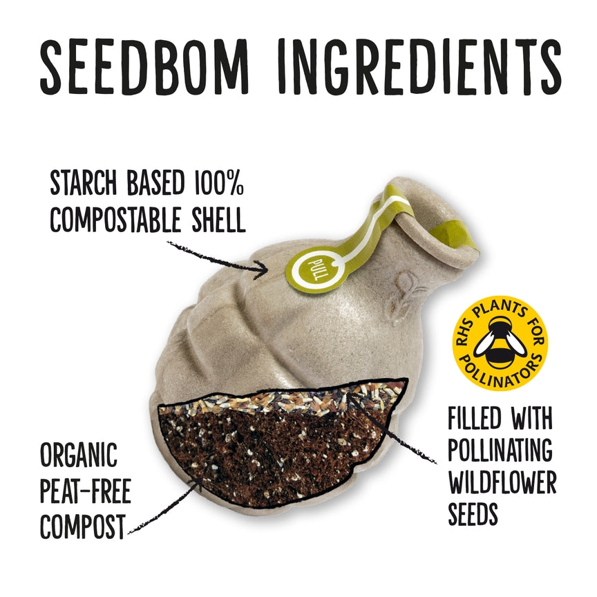  Kabloom Foragebom Seedbom FO2108 The Green Thumb Club