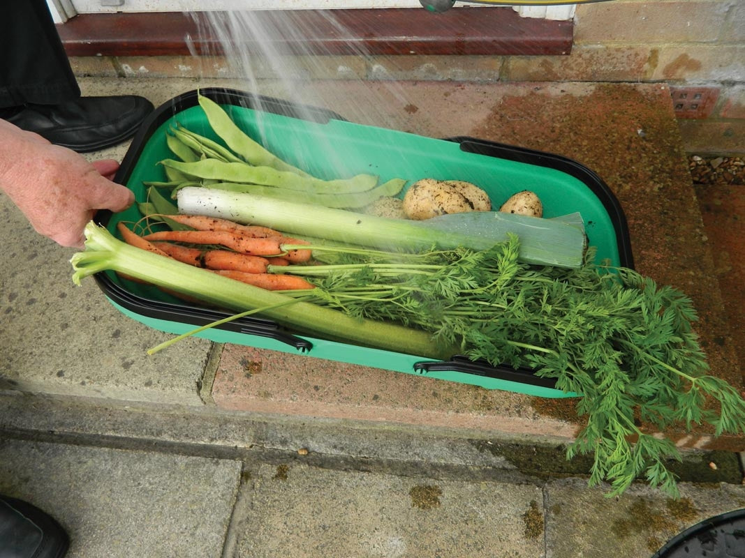 Colander Trug