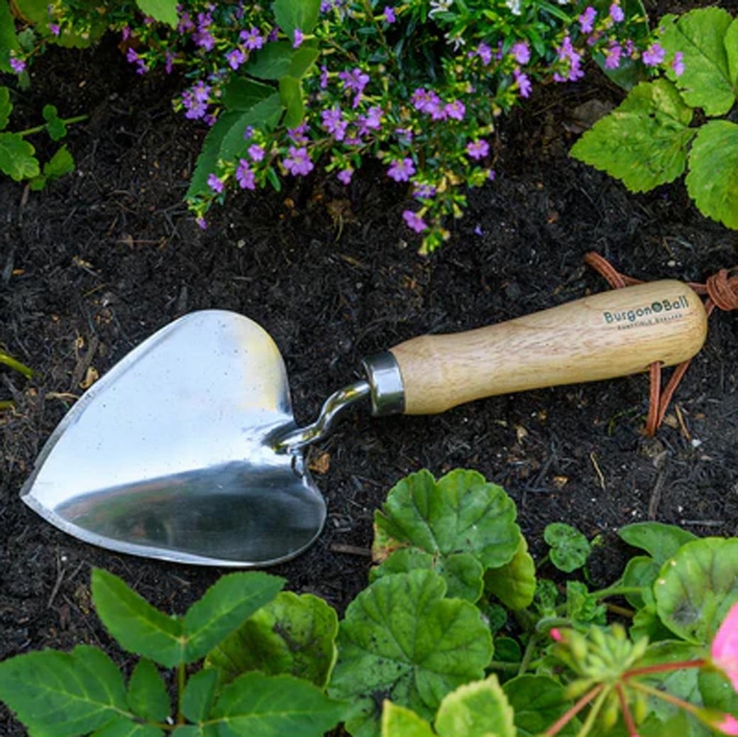  Burgon & Ball Stainless Steel Planting Trowel - RHS Endorsed GTH/SPTRHS The Green Thumb Club