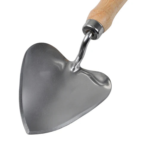 Stainless Steel Planting Trowel - RHS Endorsed