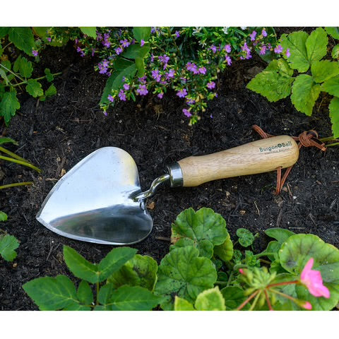 Stainless Steel Planting Trowel - RHS Endorsed