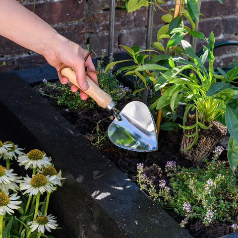 Stainless Steel Planting Trowel - RHS Endorsed