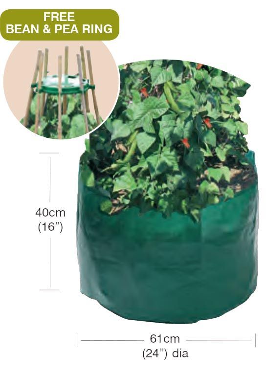  Garland Bean & Pea Bag with a free Bean & Pea Ring W0494, W0493 The Green Thumb Club