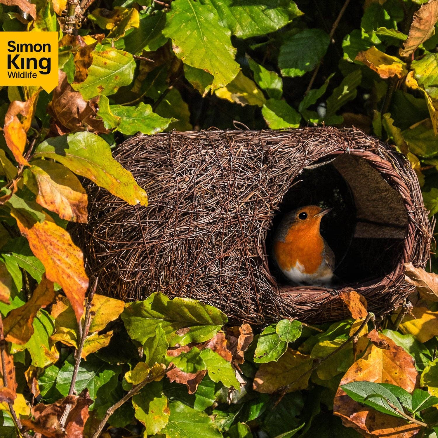  Wildlife World Brushwood Robin Nester SKROBRNP The Green Thumb Club