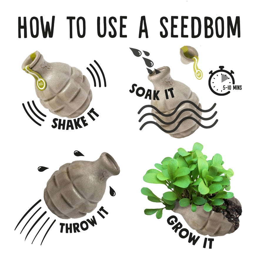  Kabloom Foragebom Seedbom FO2108 The Green Thumb Club