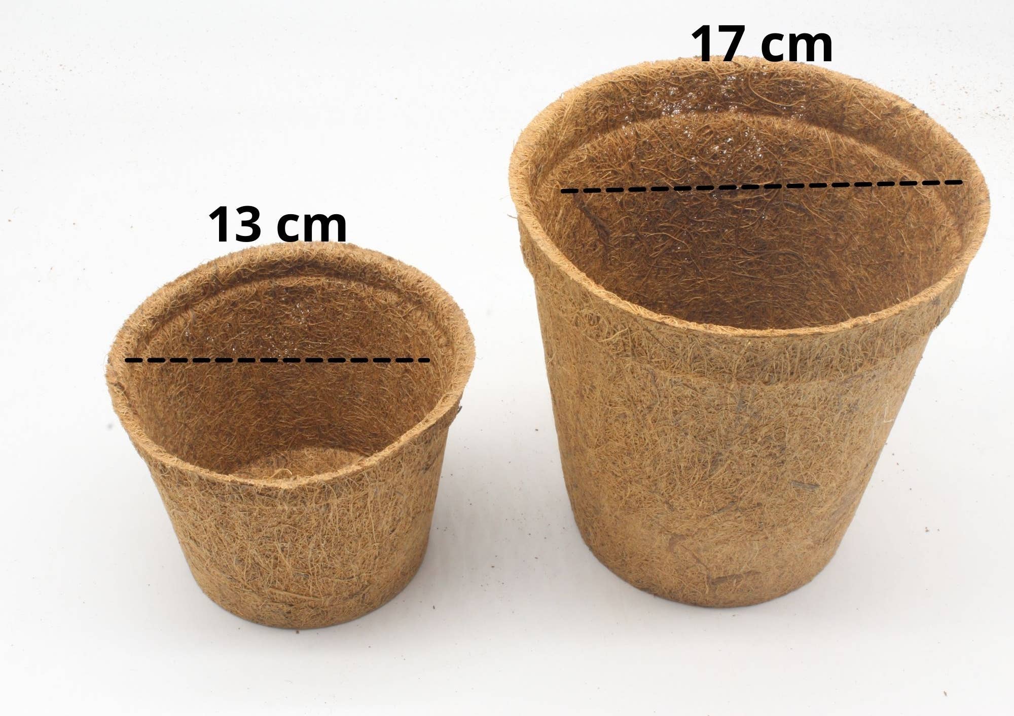  CoirProducts 13 cm Coir Pots | Plant Pots | 100% Biodegradable | 1 Ltr  The Green Thumb Club