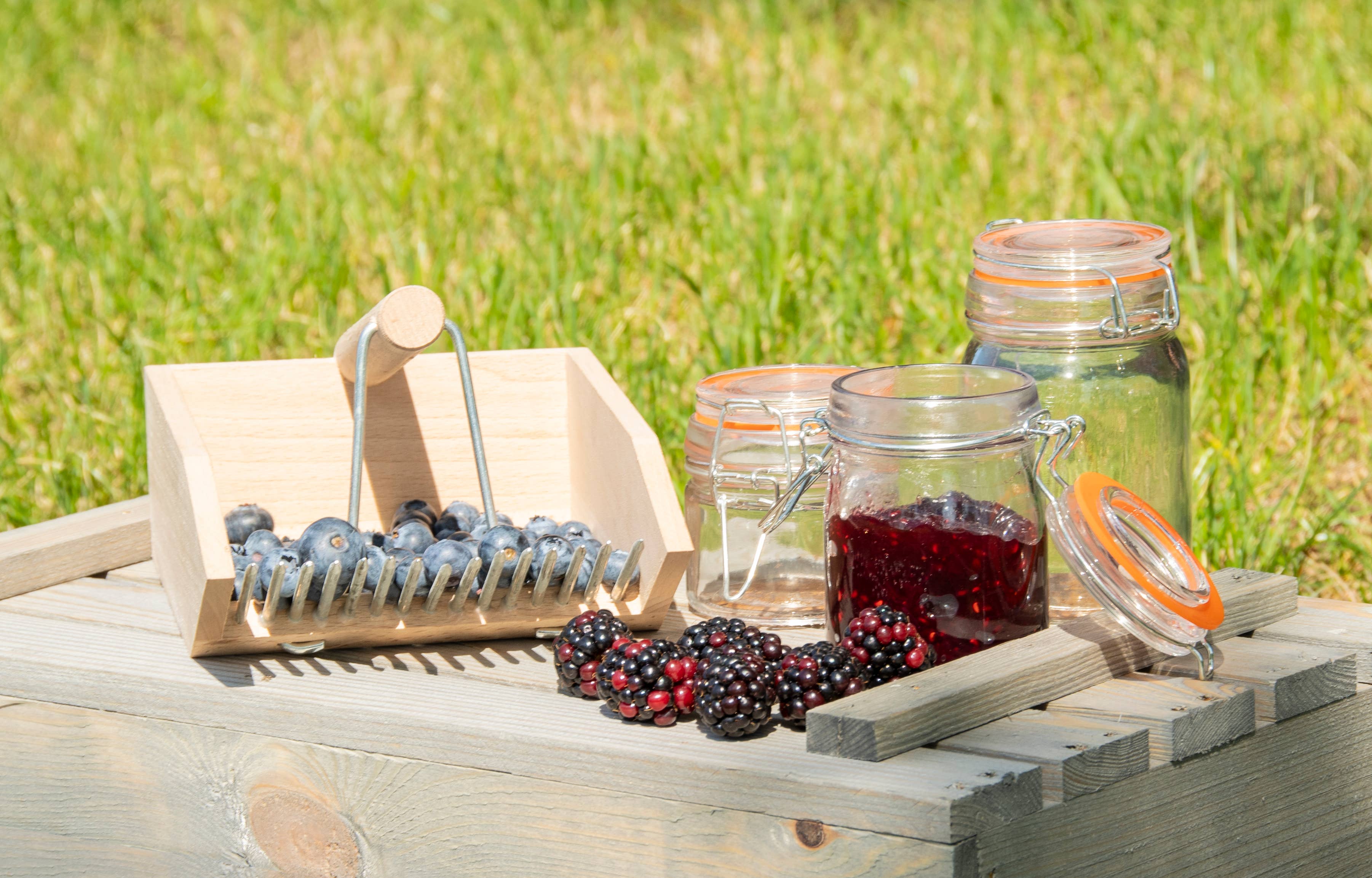 Berry Picker