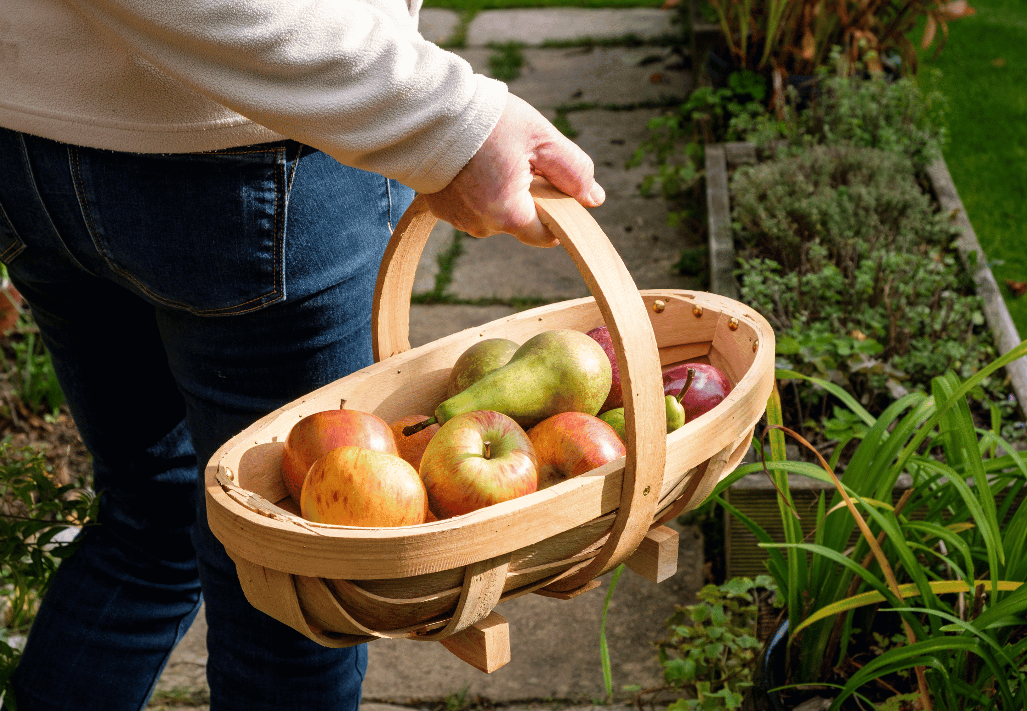  Burgon & Ball Medium Traditional Wooden Trug GHV/TRM The Green Thumb Club