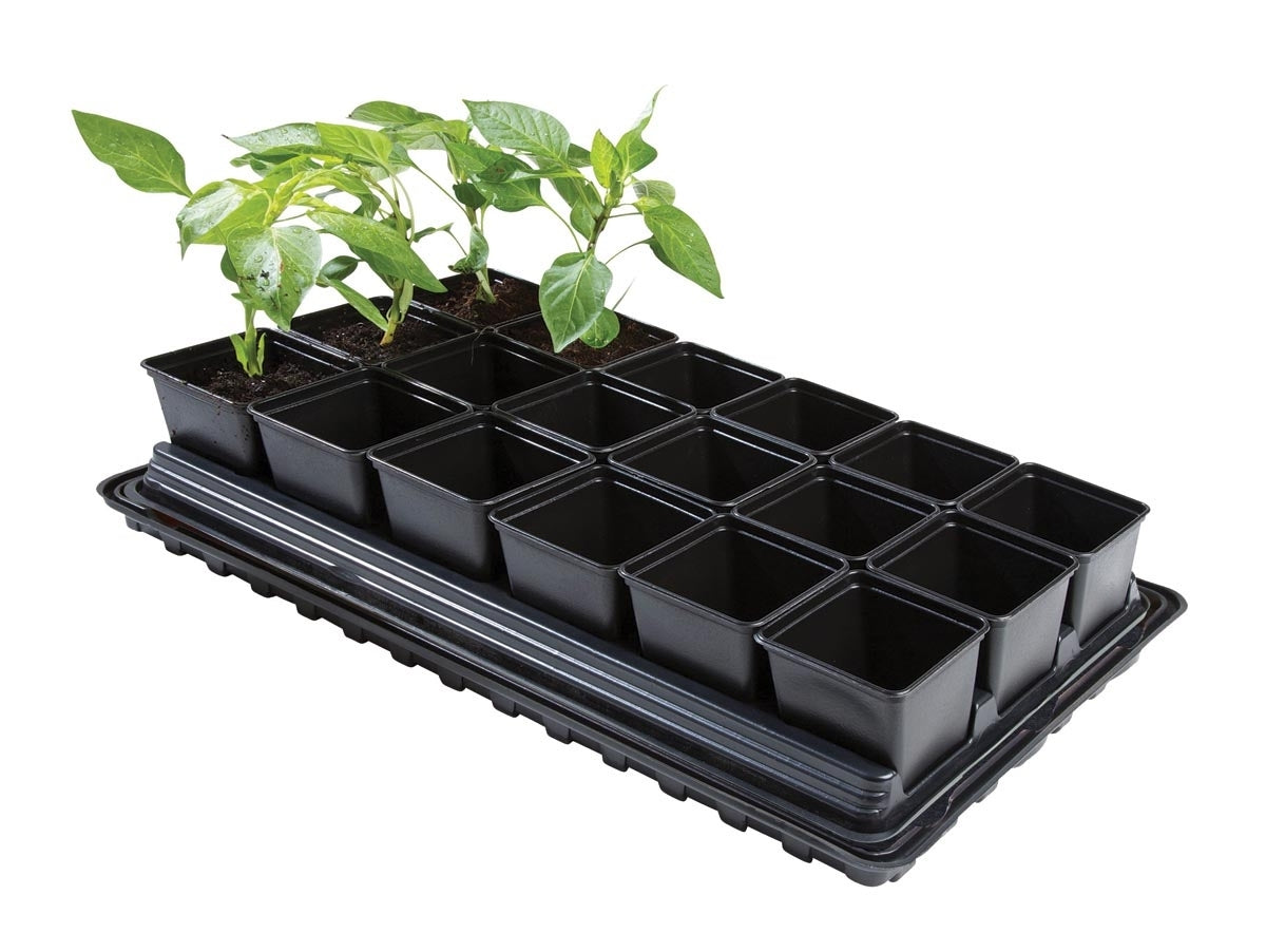  Garland Professional Vegetable Tray Set W0064 The Green Thumb Club