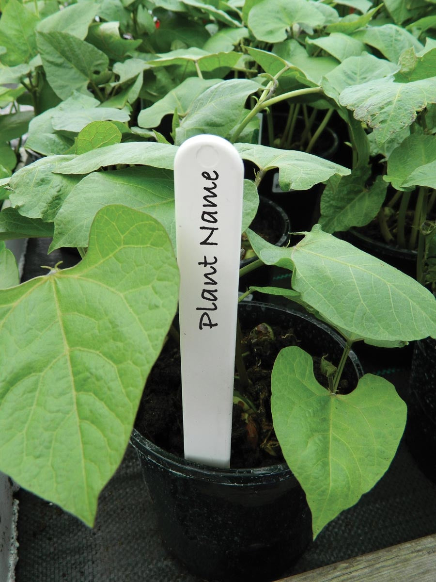  Garland Plant Labels W0846, W0864, W0856, W0871 The Green Thumb Club