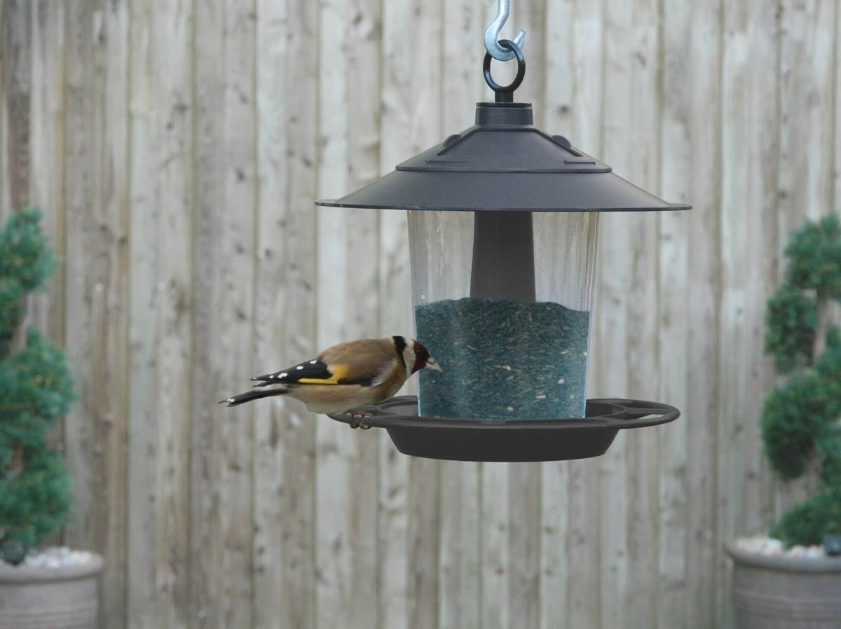  Garland Lantern Bird Seed & Nut Feeder is W2070, W2074, W2075 The Green Thumb Club